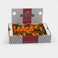 Box with Clementines