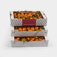 Box mit Klementinen