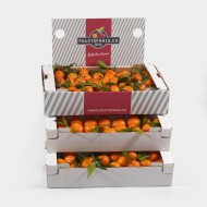 Box with Clementines