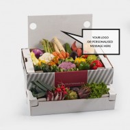 Vegetable basket TEST