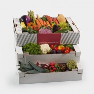 Vegetable basket TEST